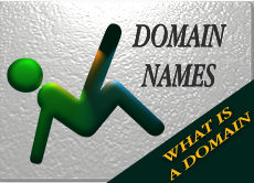 Register Domain Name